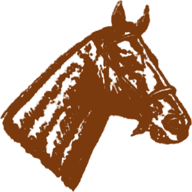 A horse head in profile, facing right